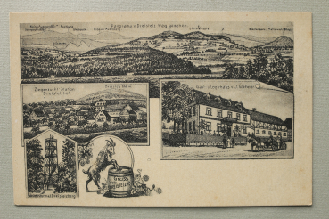 AK Gruss vom Dreistelzhof / 1920-1940 / Mehrbildkarte / Dreistelzberg / Aussichtsturm / Zeigenzucht Station / Gast u Logirhaus